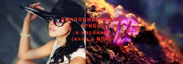 хмурый Зеленокумск