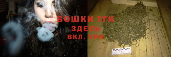 СК Зеленодольск