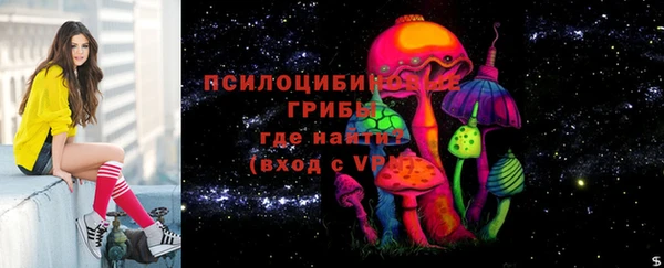СК Зеленодольск