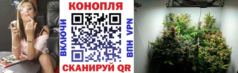Шишки марихуана сатива  где купить   Чулым 